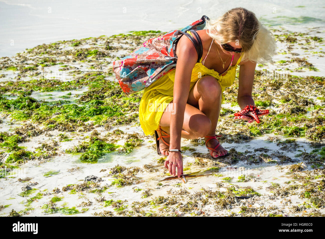 this morning i found  some starfish on the Ningwi, Zanzibar beach, woman, women, Stock Photo