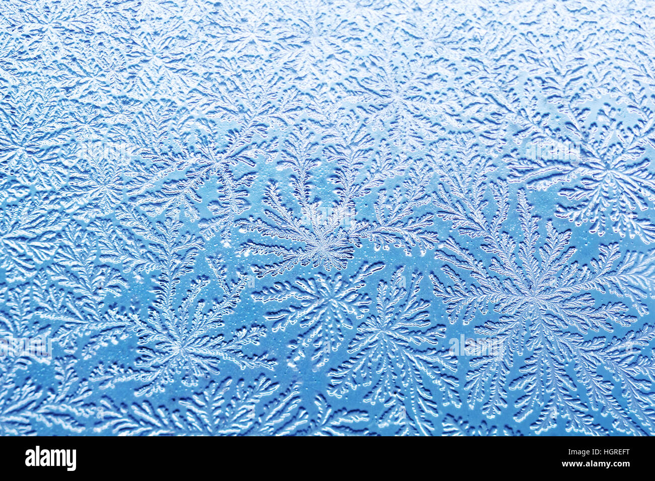 bacterial pattern like a frost Stock Photo