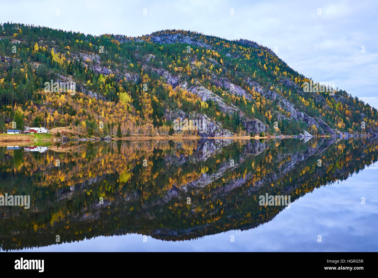Norwegian mountainside covered in autumn colored yellow birch and green pines, reflected in the complete calm water suface of the lake Flaani Stock Photo