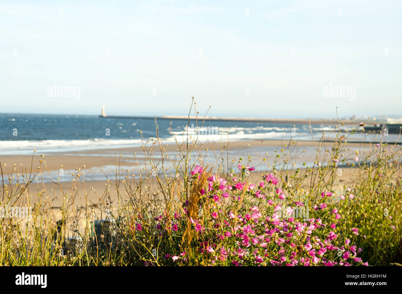 Seaburn sunderland hires stock photography and images Alamy