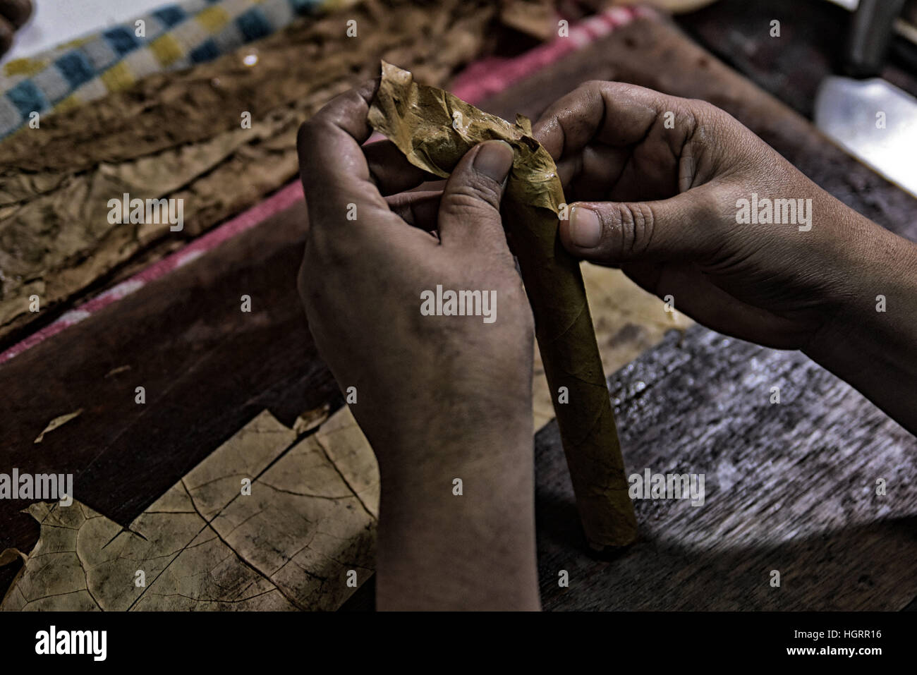 January 6, 2017 - Surabaya, East Java, Indonesia - EAST JAVA, INDONESIA - JANUARY 12 : Indonesian workers handrolling clove cigarettes at Cigarettes factory on January 06, 2017 in Surabaya, East Java, Indonesia. Indonesia is world largets cigarettes produce. (Credit Image: © Sijori Images via ZUMA Wire) Stock Photo