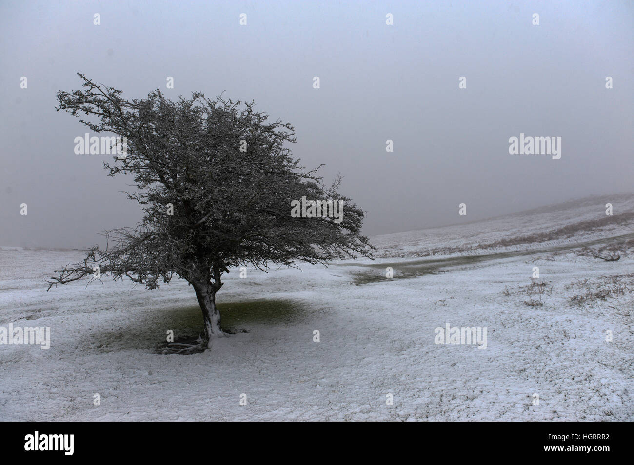 Builth Wells, Powys, Wales, UK. 12th January 2017.  The landscape is bleak and wintry on the high moorland of the Mynydd Epynt range near Builth Wells in Powys, Mid Wales, UK. © Graham M. Lawrence/Alamy Live News. Stock Photo