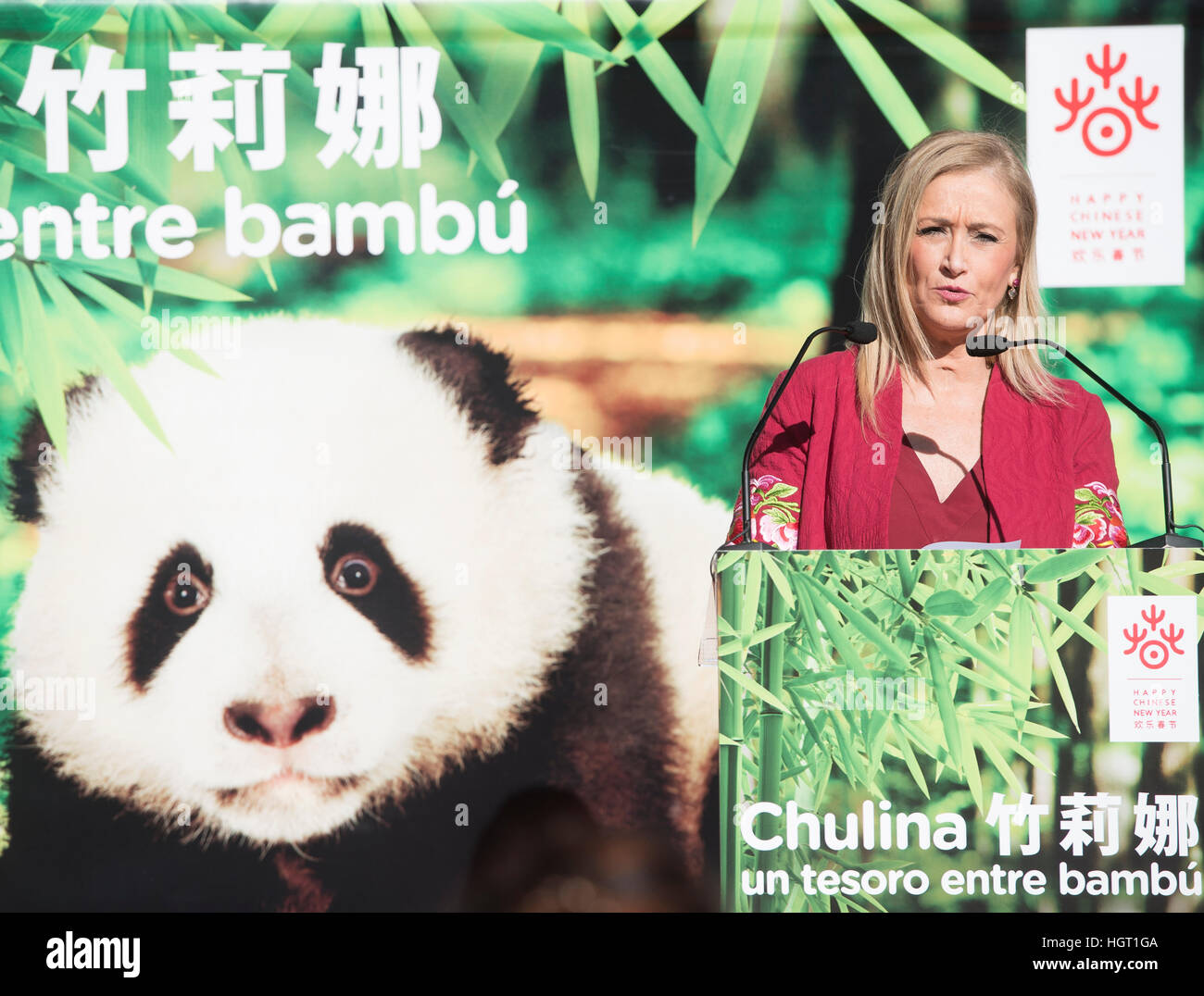 (170113) -- MADRID, Jan. 13, 2017 (Xinhua) -- Cristina Cifuentes, president of the community of Madrid, attends a naming ceremony for a giant panda cub at the Zoo Aquarium in Madrid, Spain, on Jan. 12, 2017. The fifth giant panda cub born in the Zoo Aquarium in Madrid was given the name Chulina on Thursday. The panda cub was officially presented to the public and press in a ceremony organized by the Chinese embassy in Spain and the zoo. It is the first female cub born at the Zoo Aquarium. (Xinhua/Eduardo) (zy) Stock Photo