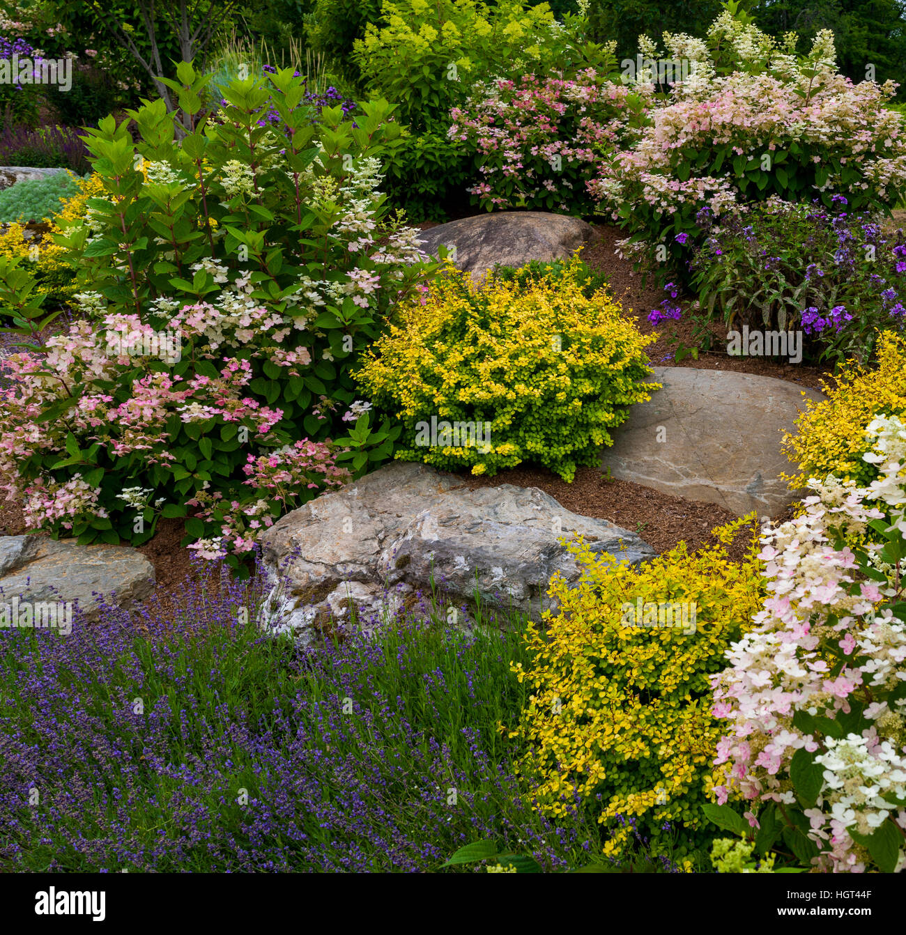 Rock Garden with flowering plants, Quebec, Canada Stock Photo Alamy