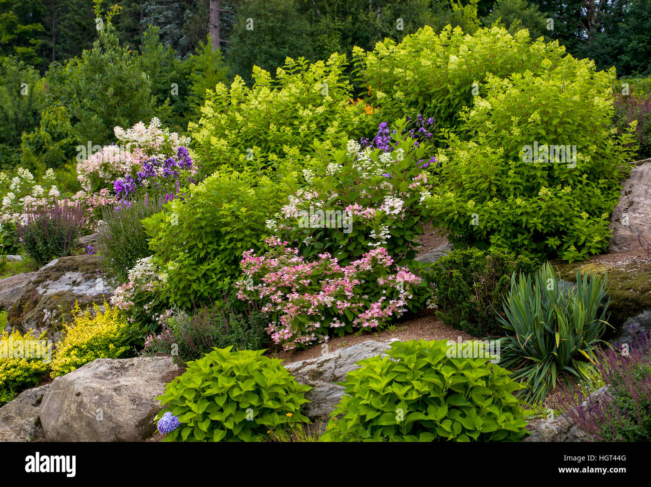 Rock Garden with different flowering plants, Quebec, Canada Stock Photo