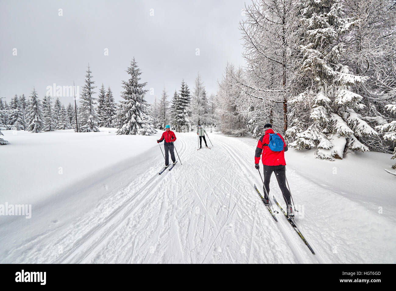 Jakuszyce, Poland - January 06, 2017: Cross-country skiers running on prepared tracks in snow on a cloudy day. Stock Photo