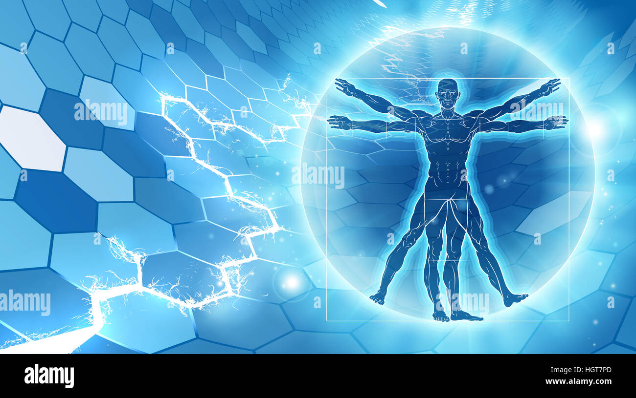 Vitruvian man hexagon blue background concept like Leonard Da Vinci s anatomy illustration Stock Photo