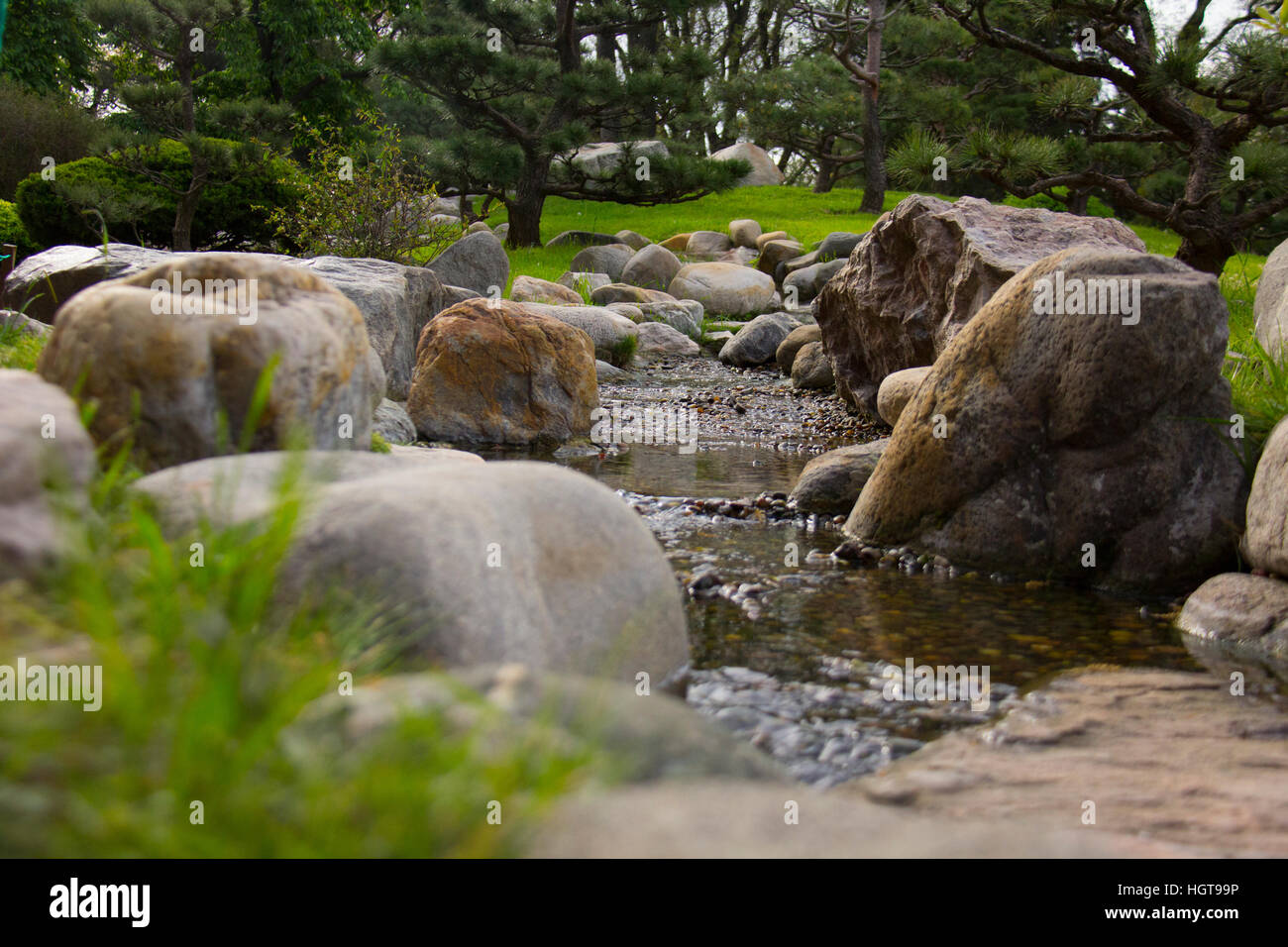 Flower garden with zen rocks hi-res stock photography and images