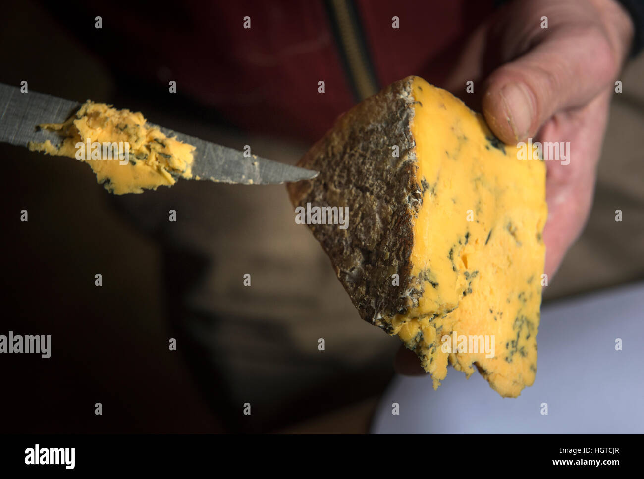 A cheese expert sampling a slice of Shropshire Blue UK Stock Photo