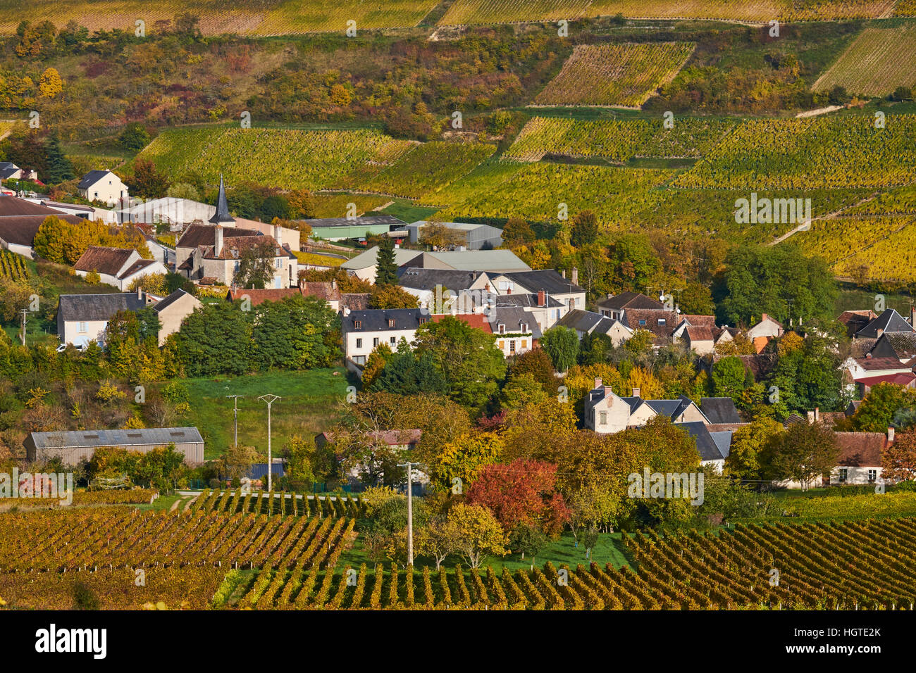 Il Habite La Province Du Sancerre Et Du Chavignol