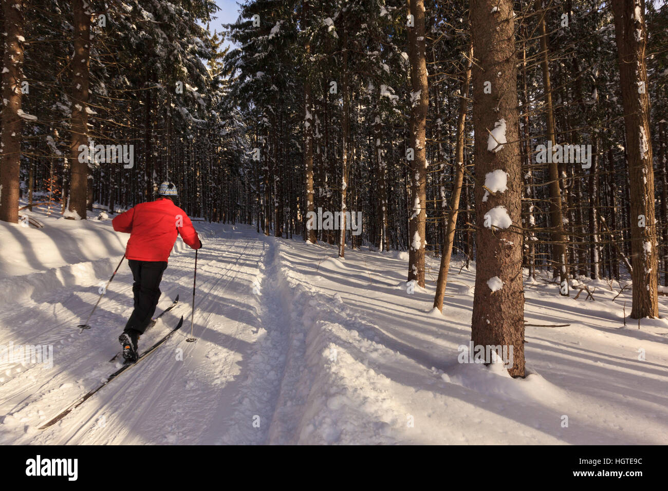 A man cross country skiing at the Notchview Reservation in Windsor