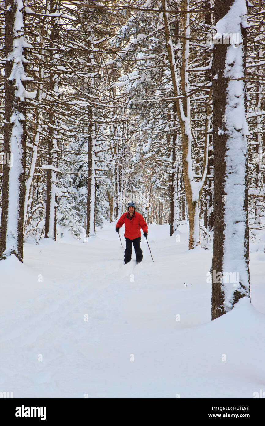 A man cross country skiing at the Notchview Reservation in Windsor
