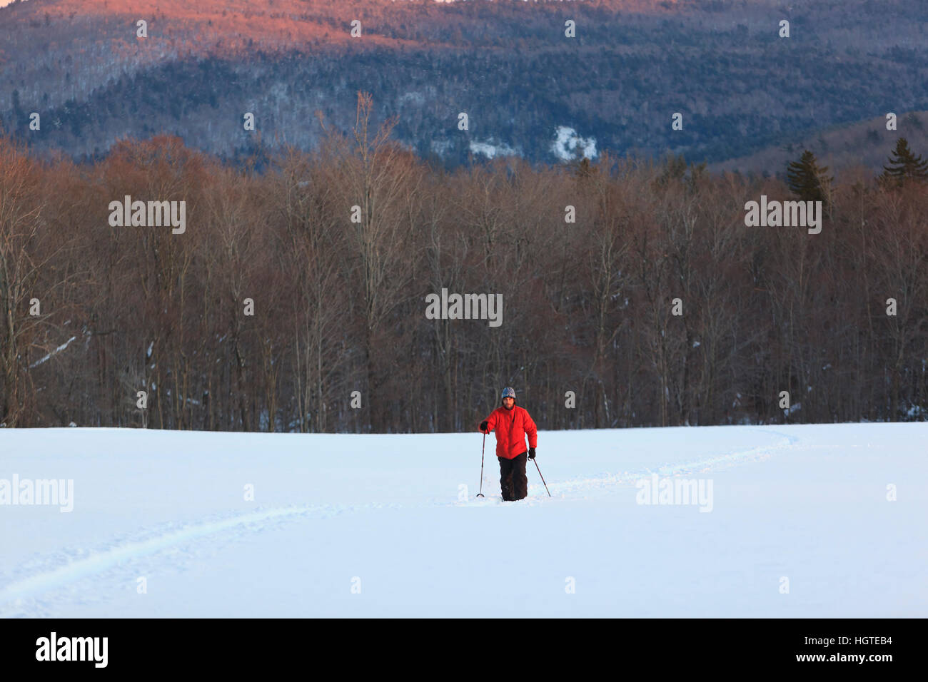 A man crosscountry skiing in a field at the Notchview Reservation in