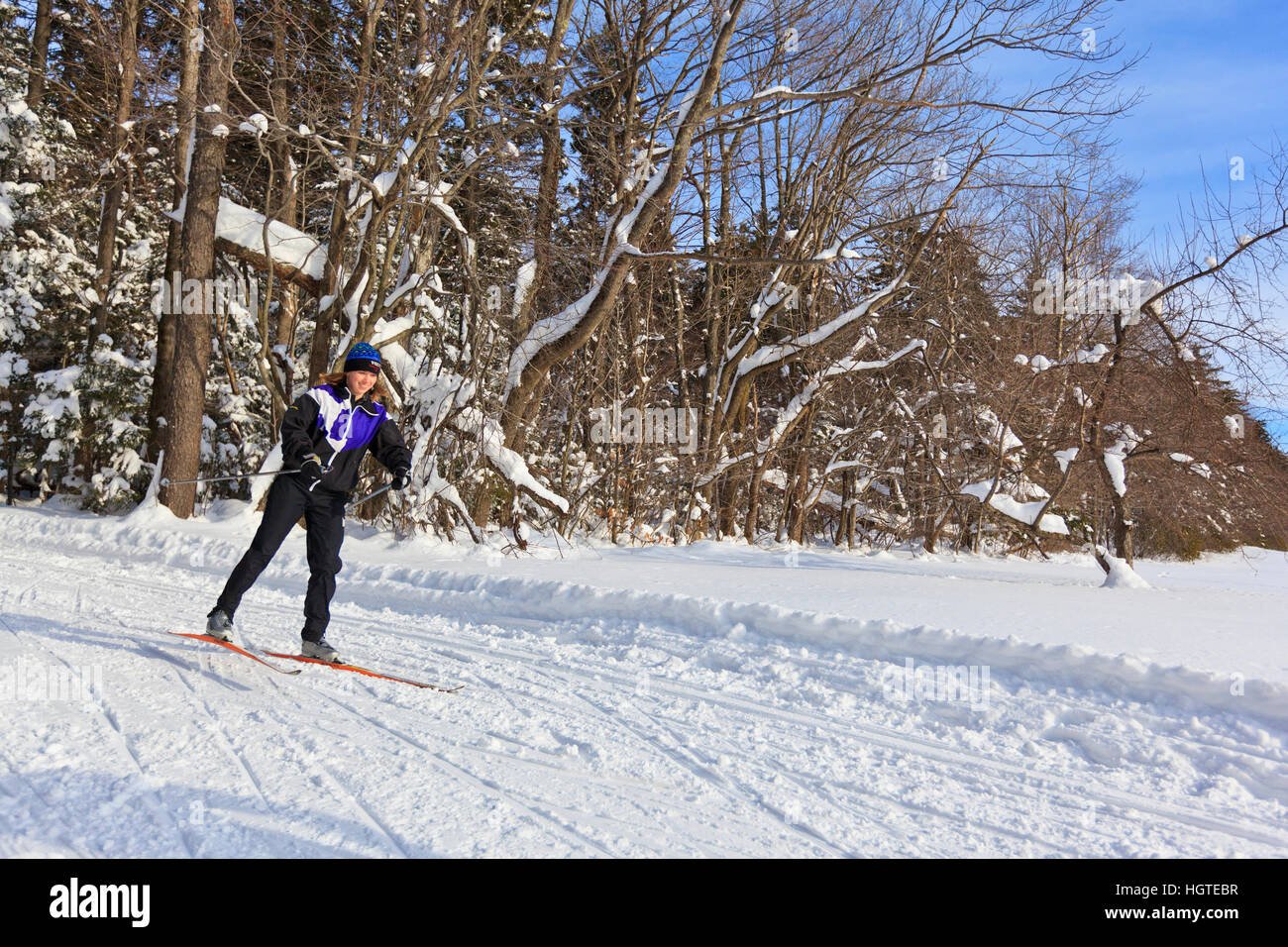 A Woman Cross-country Skiing At The Notchview Reservation In Windsor ...