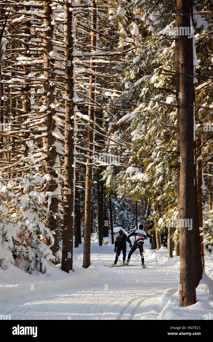 A man and woman crosscountry skiing at the Notchview Reservation in