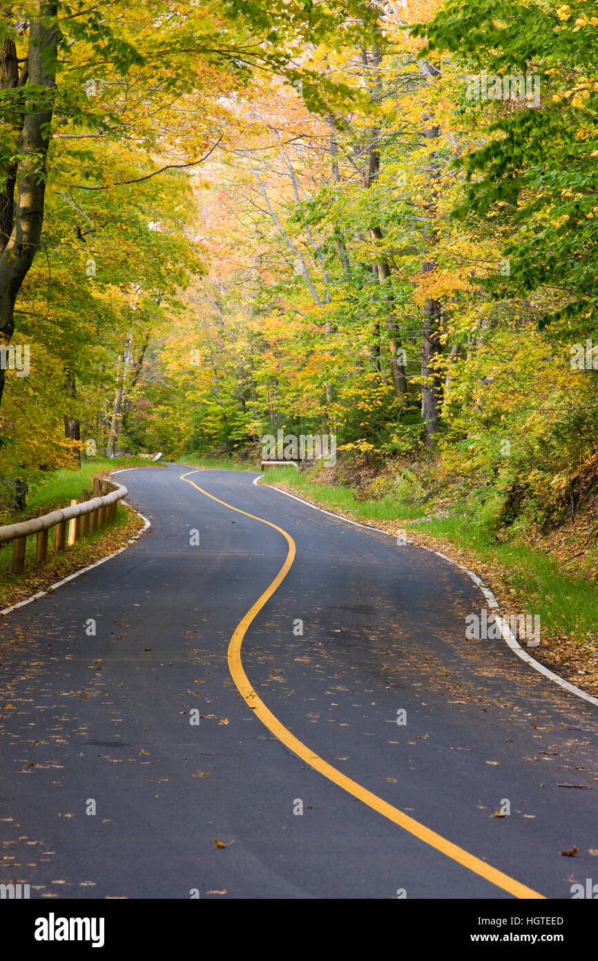 The Auto Road up Mount Greylock, highest point in Massachusetts. Mount