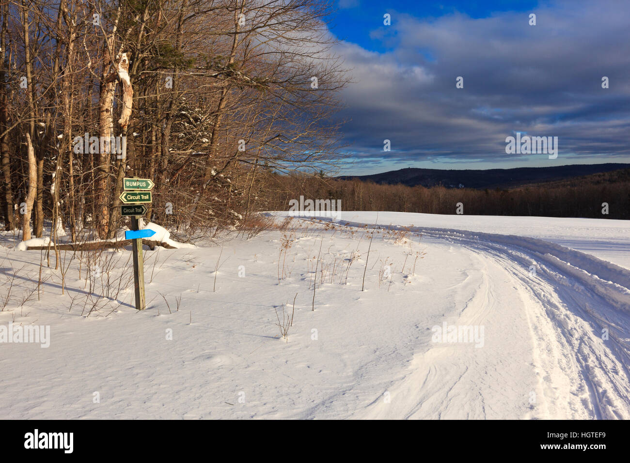 A cross country ski trail at the Notchview Reservation in Windsor