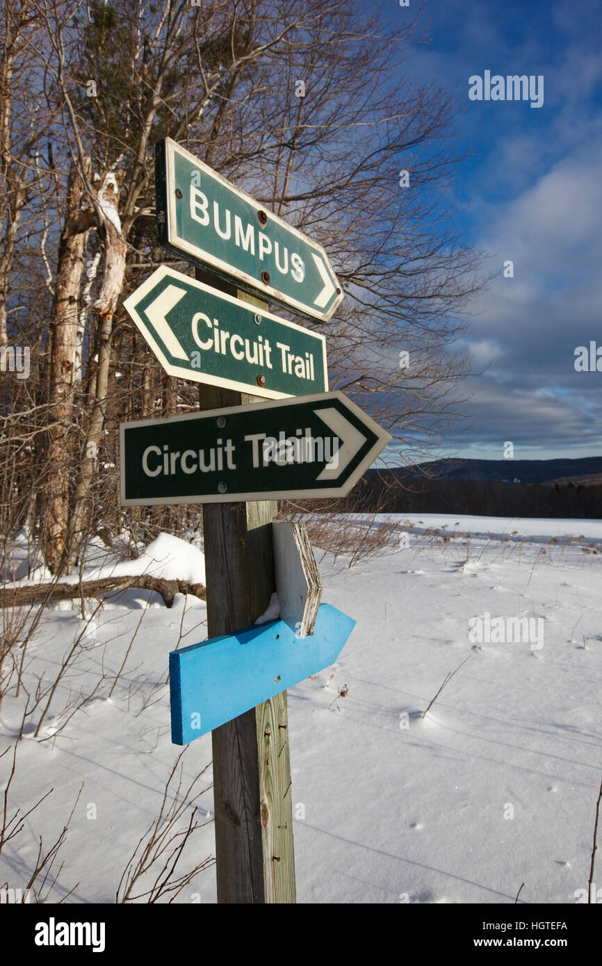A cross country ski trail at the Notchview Reservation in Windsor