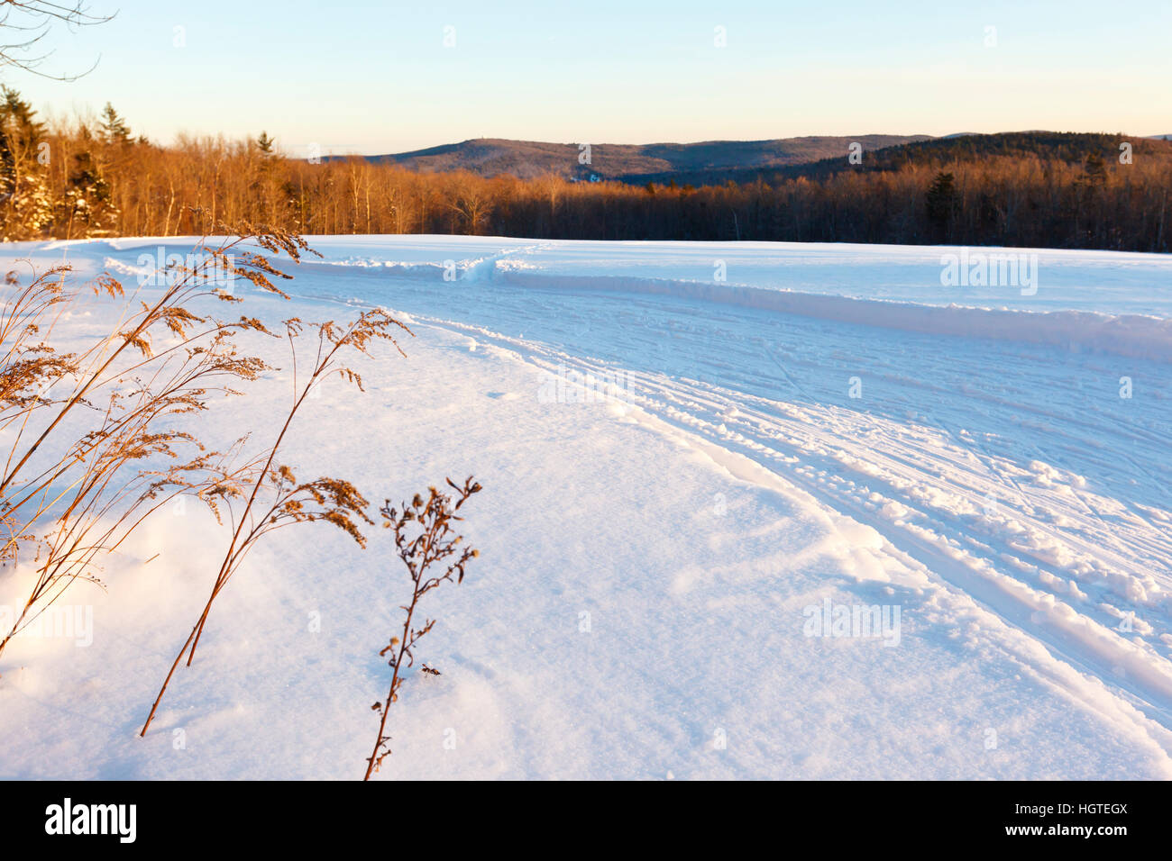 A cross country ski trail at the Notchview Reservation in Windsor