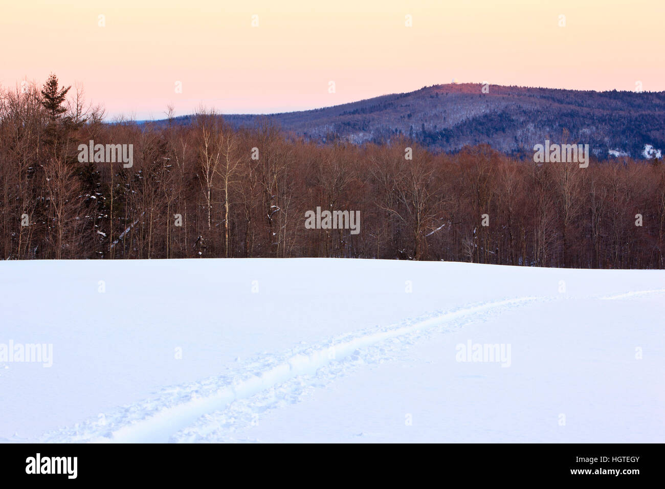 A cross country ski trail at the Notchview Reservation in Windsor