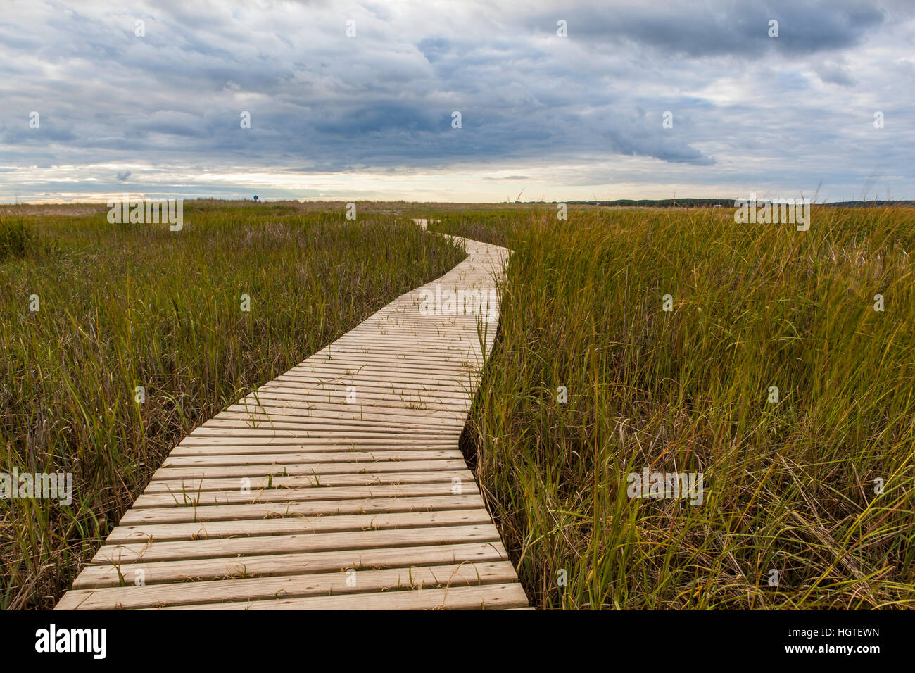 The boardwalk through the tidal marsh at Massachusetts Audubon's