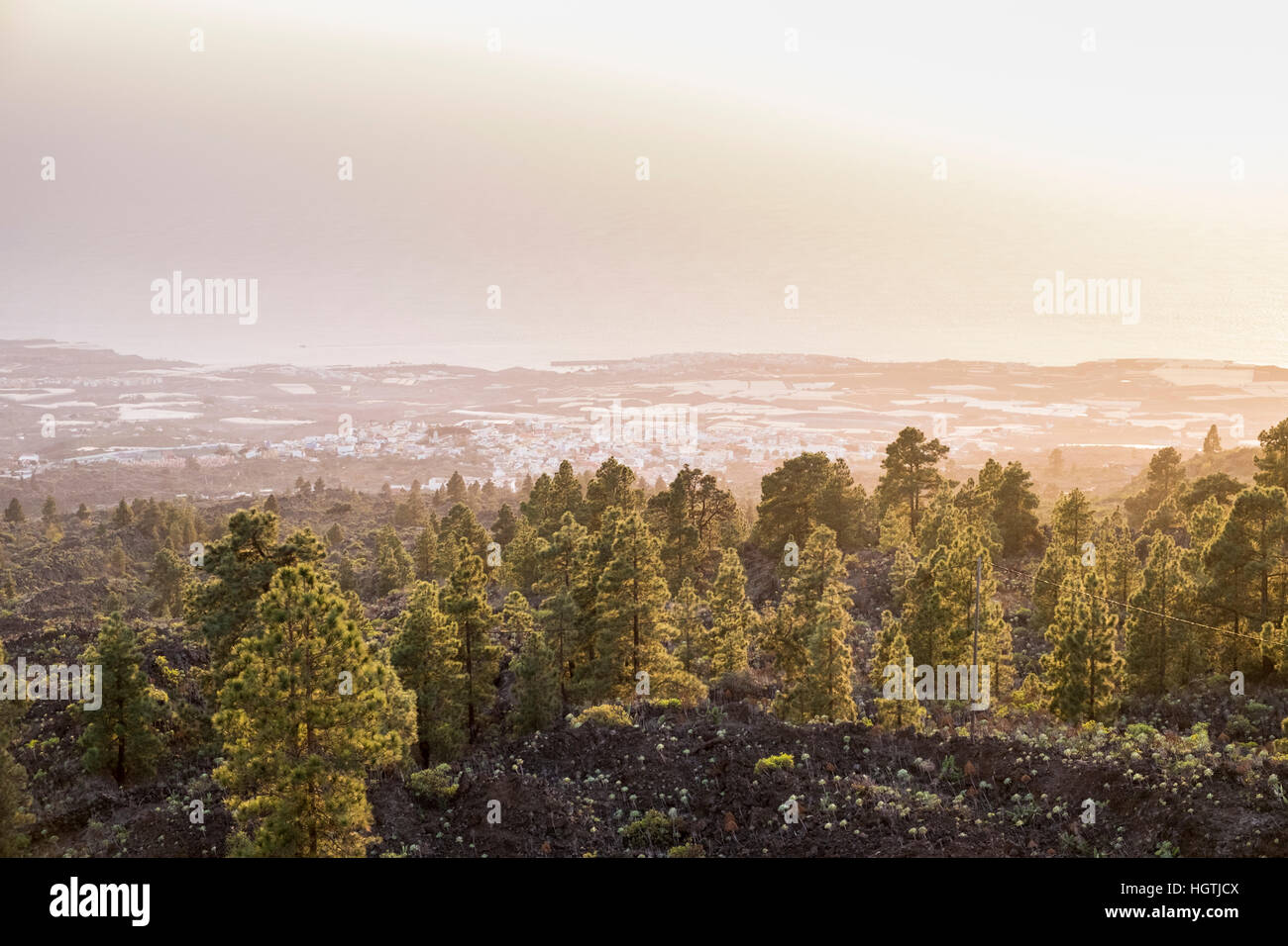 Calima hires stock photography and images Alamy