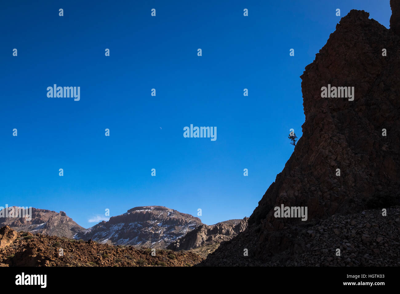 Lone pine tree growing out the side of a rocky cliff in the Las Canadas del teide national park, Tenerife, Canary Islands, Spain Stock Photo