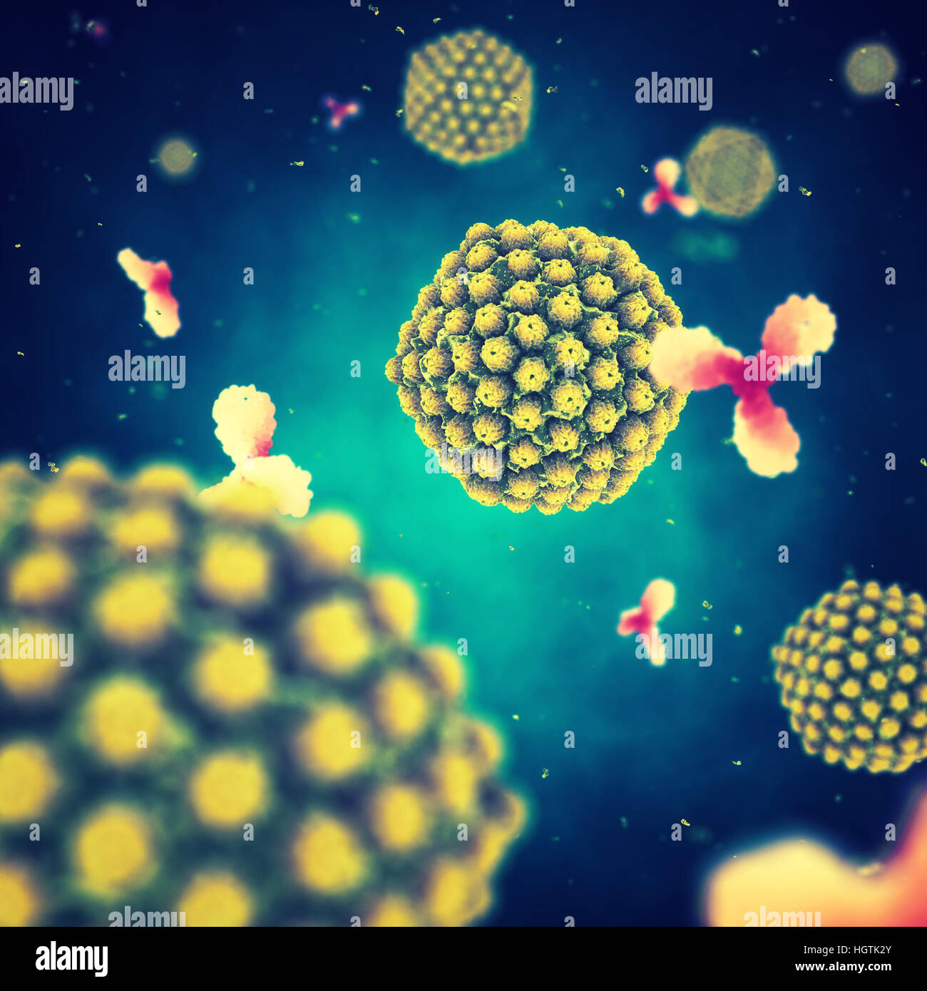 Herpes virus and antibodies , Viral infection , Disease epidemic Stock