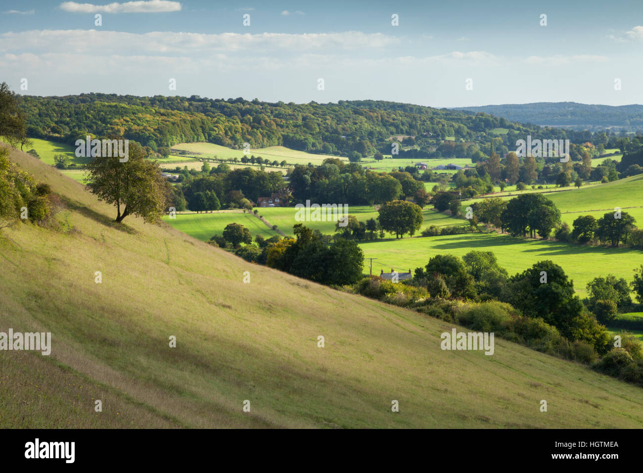 A wooded Hambleden Valley and early autumn colours, seen from the grassy slopes near village of Turville in Buckinghamshire, Chiltern Hills, England Stock Photo
