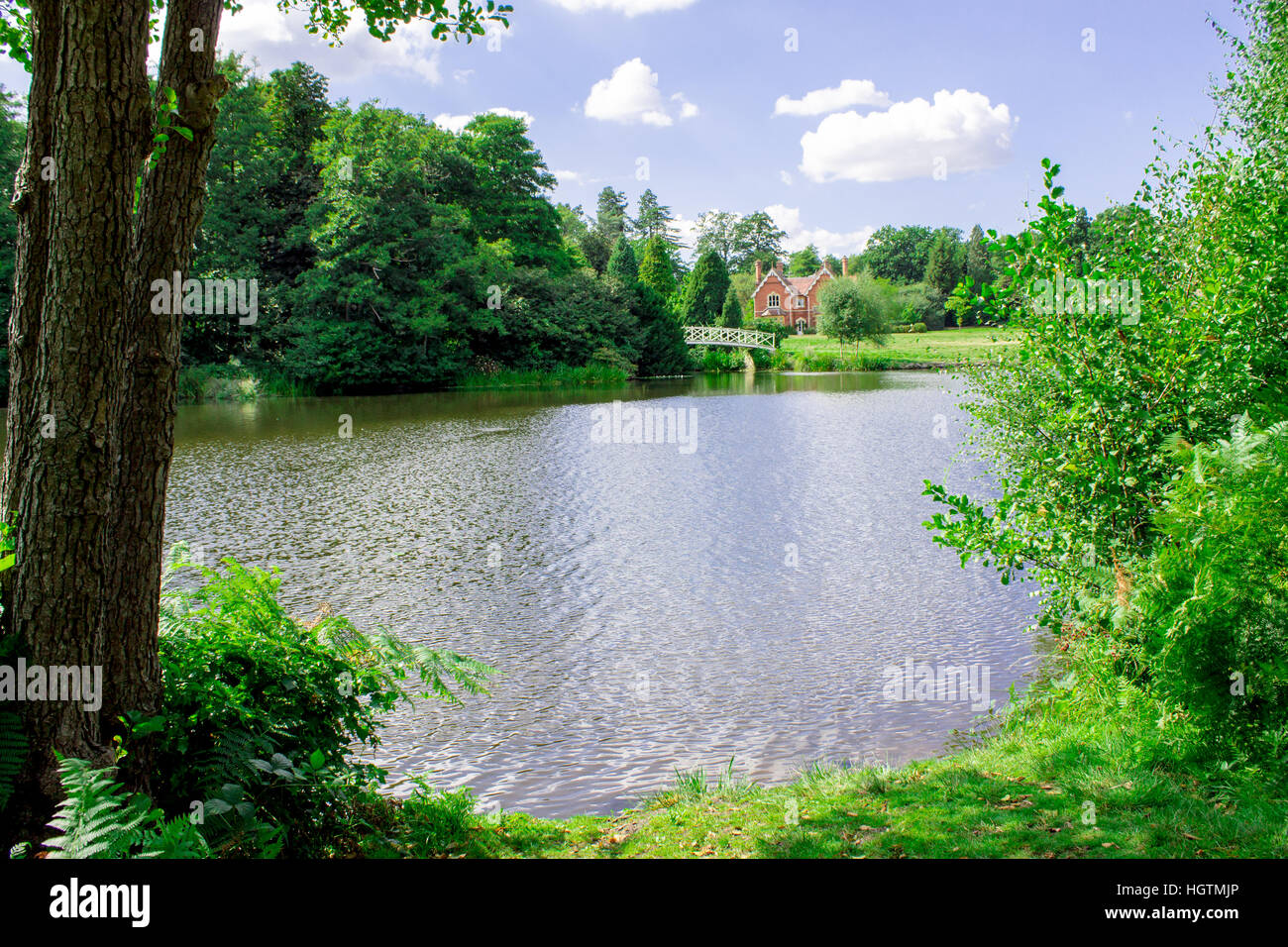 Beautiful views of Virginia Water Lake within the Windsor Great Park in 