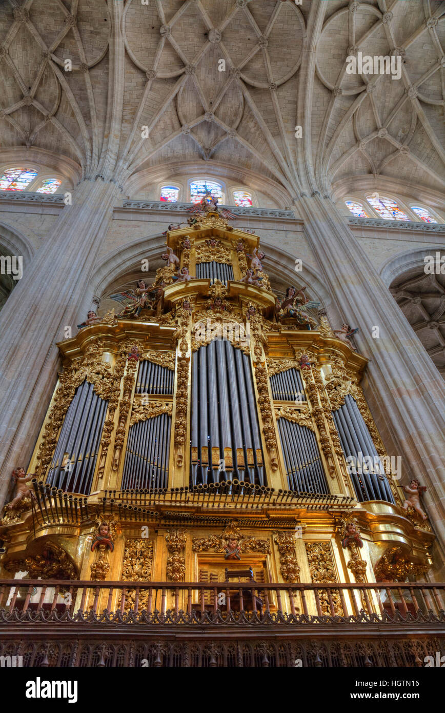 Organ, Nuestra Senora de la Asuncion y San Frutos Cathedral, Segovia, UNESCO World Heritage Site, Spain Stock Photo