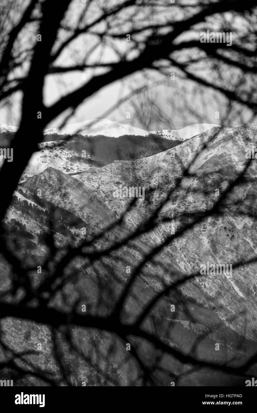 Mountains seen through branches of trees Stock Photo