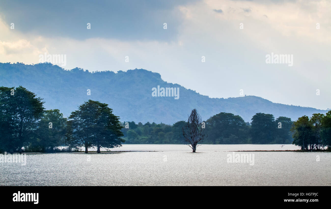 Uda Walawe national park landscape, Sri Lanka Stock Photo