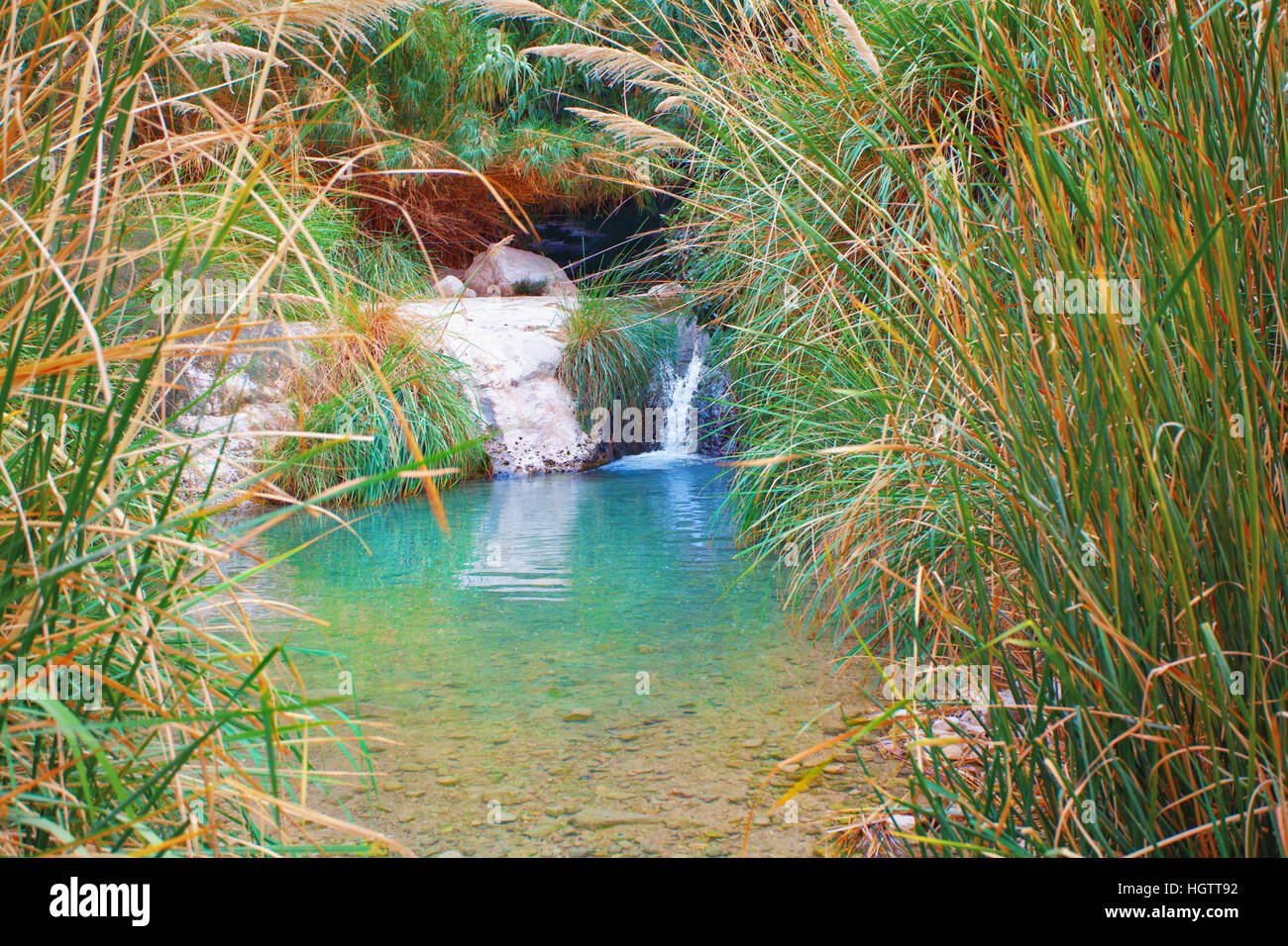 Small waterfall at Ein Gedi Nature Reserve in Israel Stock Photo