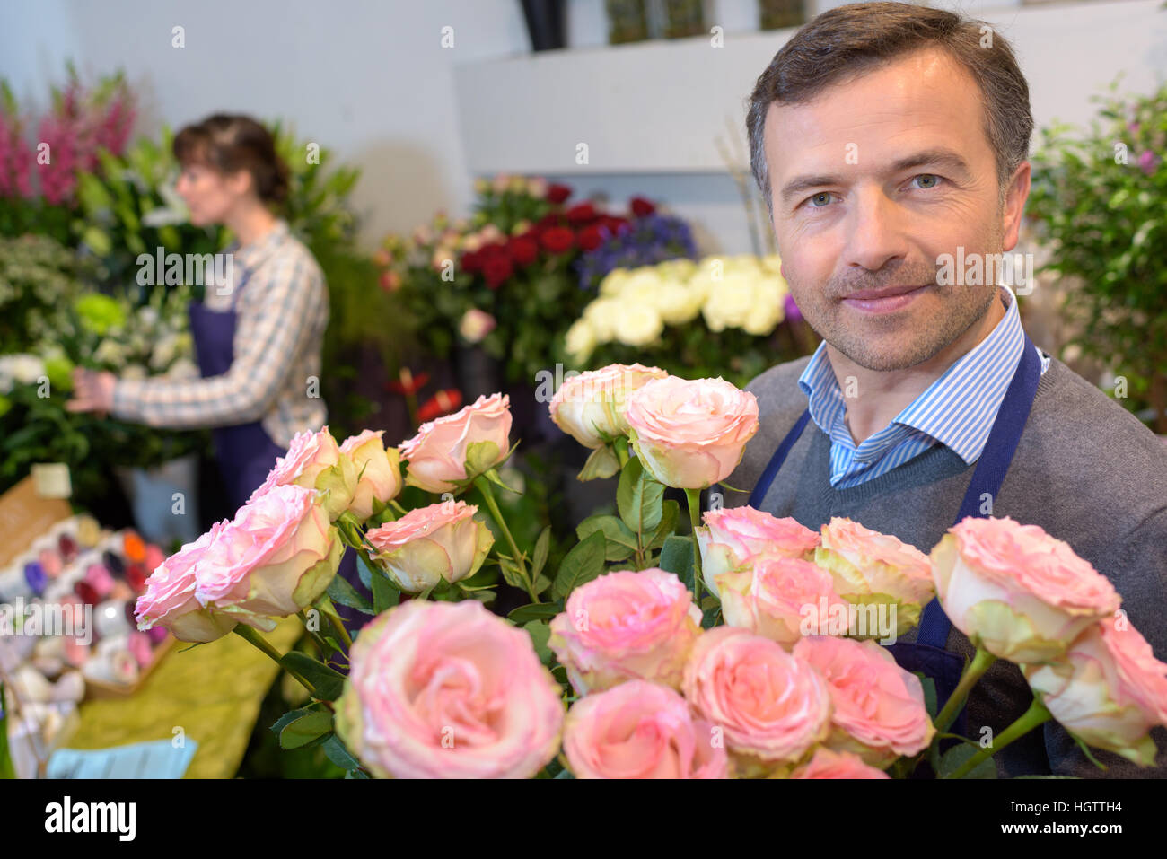 pink rose variety Stock Photo - Alamy