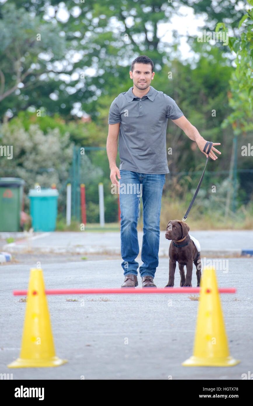 man training dog Stock Photo