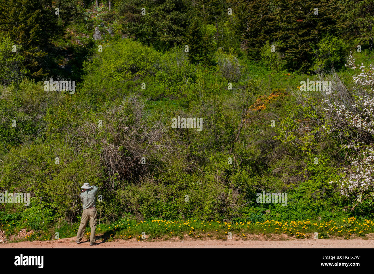 Randy Stout High Resolution Stock Photography and Images - Alamy