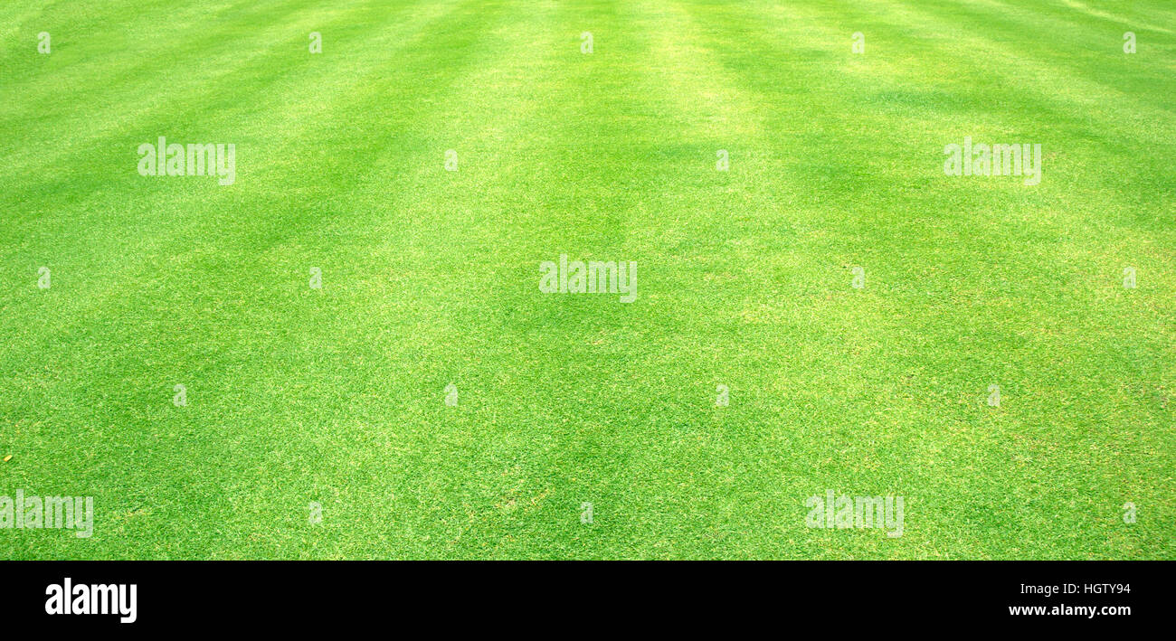 Football field green grass pattern textured background. Stock Photo