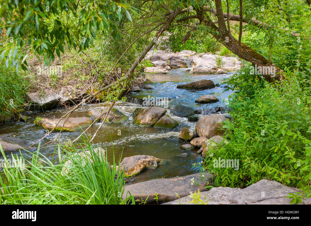The mountain rivers are shallow with rocky bottom. Stock Photo