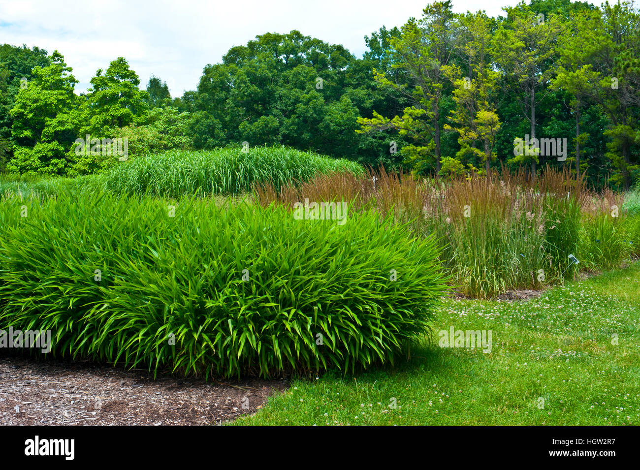 Minnesota, Chaska, Minnesota Landscape Arboretum, Ornamental Grasses Stock Photo Alamy