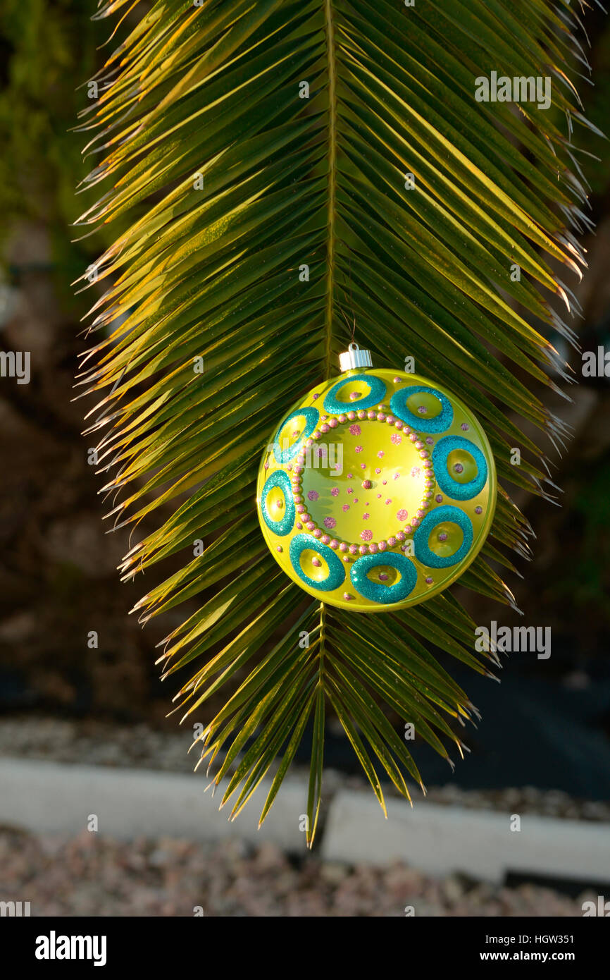 Christmas ornaments decorate a palm tree in hi-res stock photography