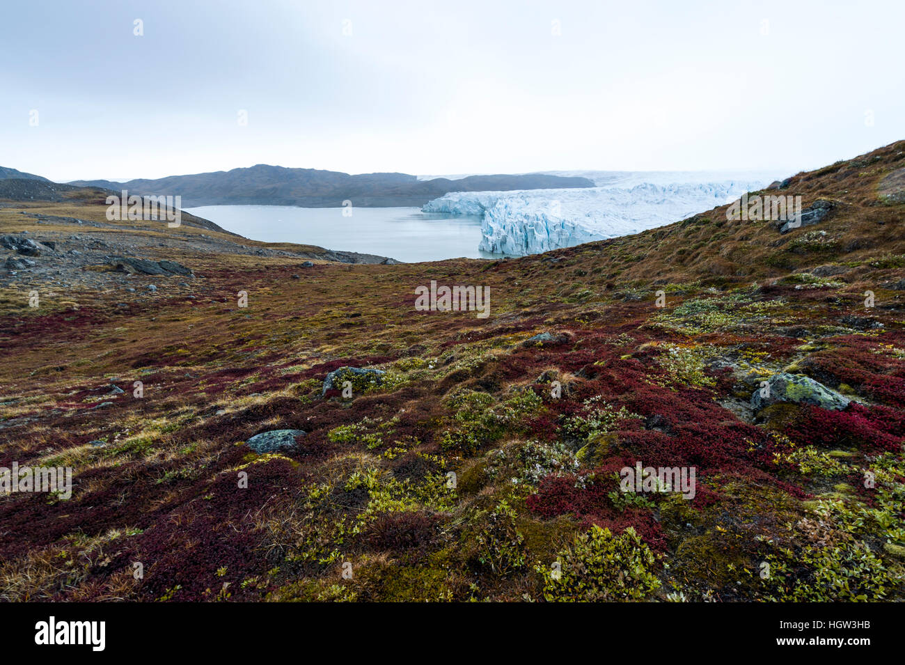 Autumn colours dapple the tundra near a glacier at the end of the brief summer. Stock Photo