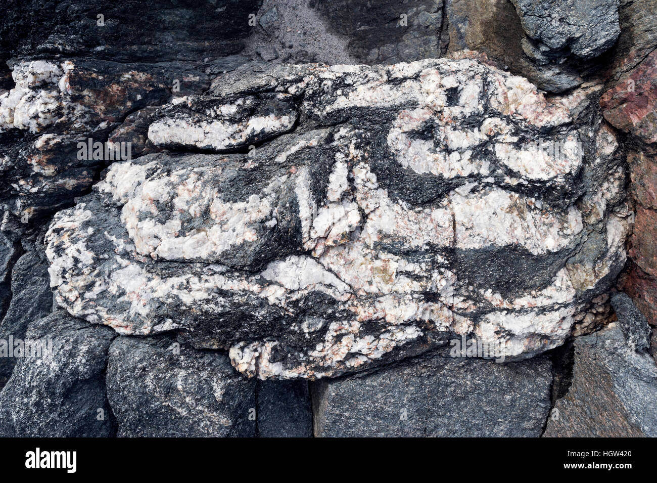 Layers of quartz imbedded in a rock exposed by a receding glacier. Stock Photo