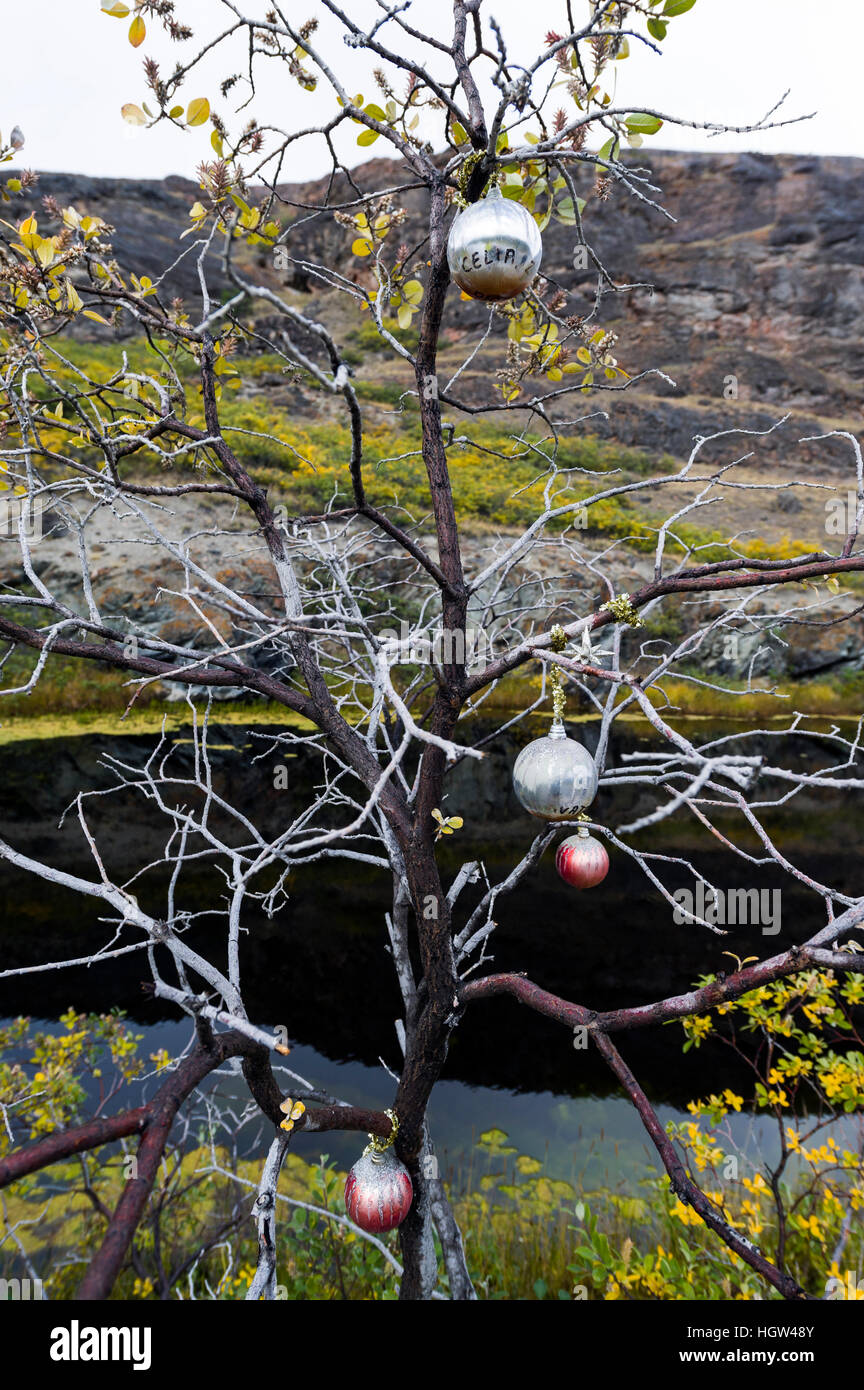 Faded Christmas decorations on a tree by a roadside. Stock Photo