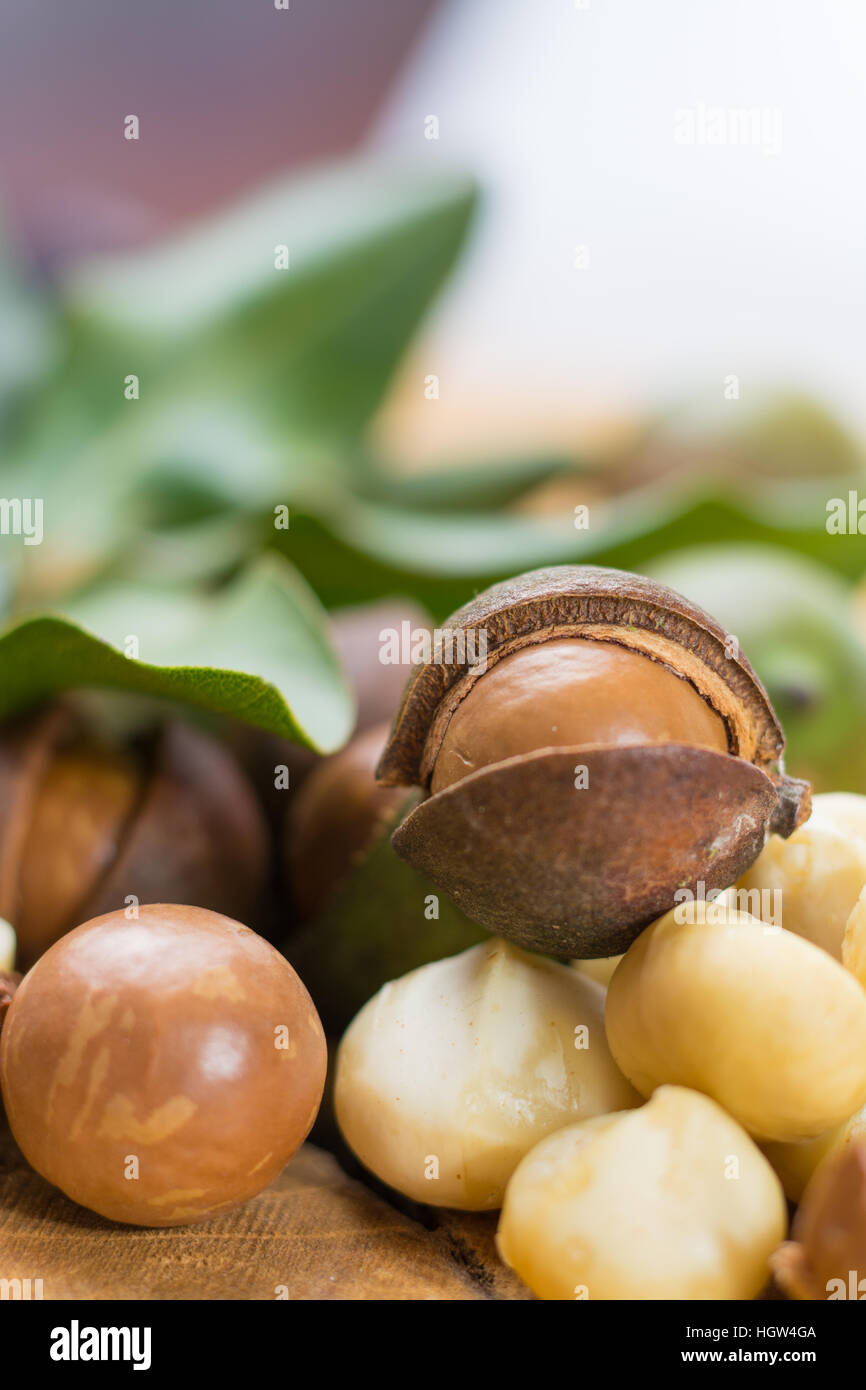 Macadamia nuts harvest close up Stock Photo Alamy