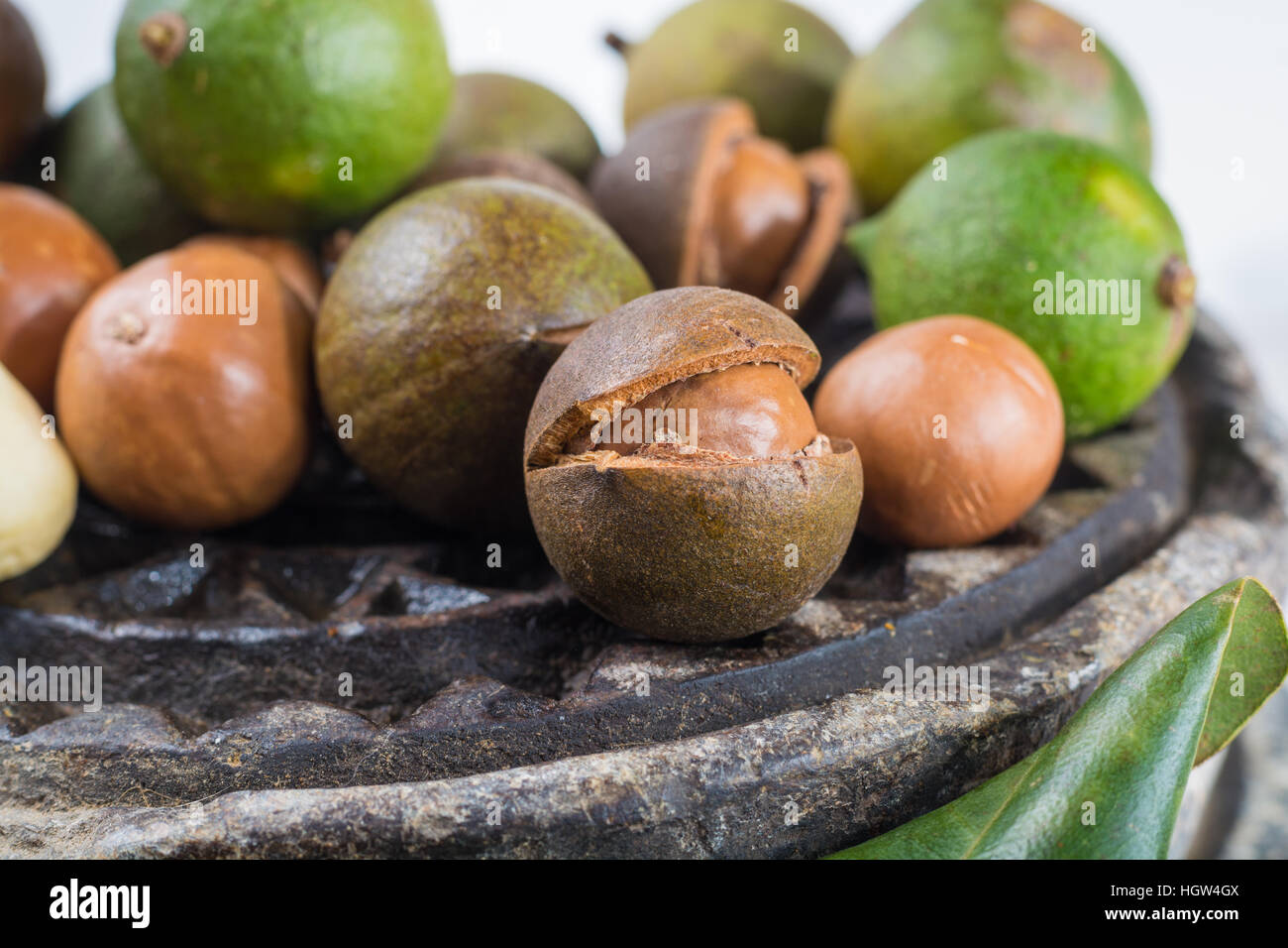 Macadamia nuts harvest close up Stock Photo Alamy