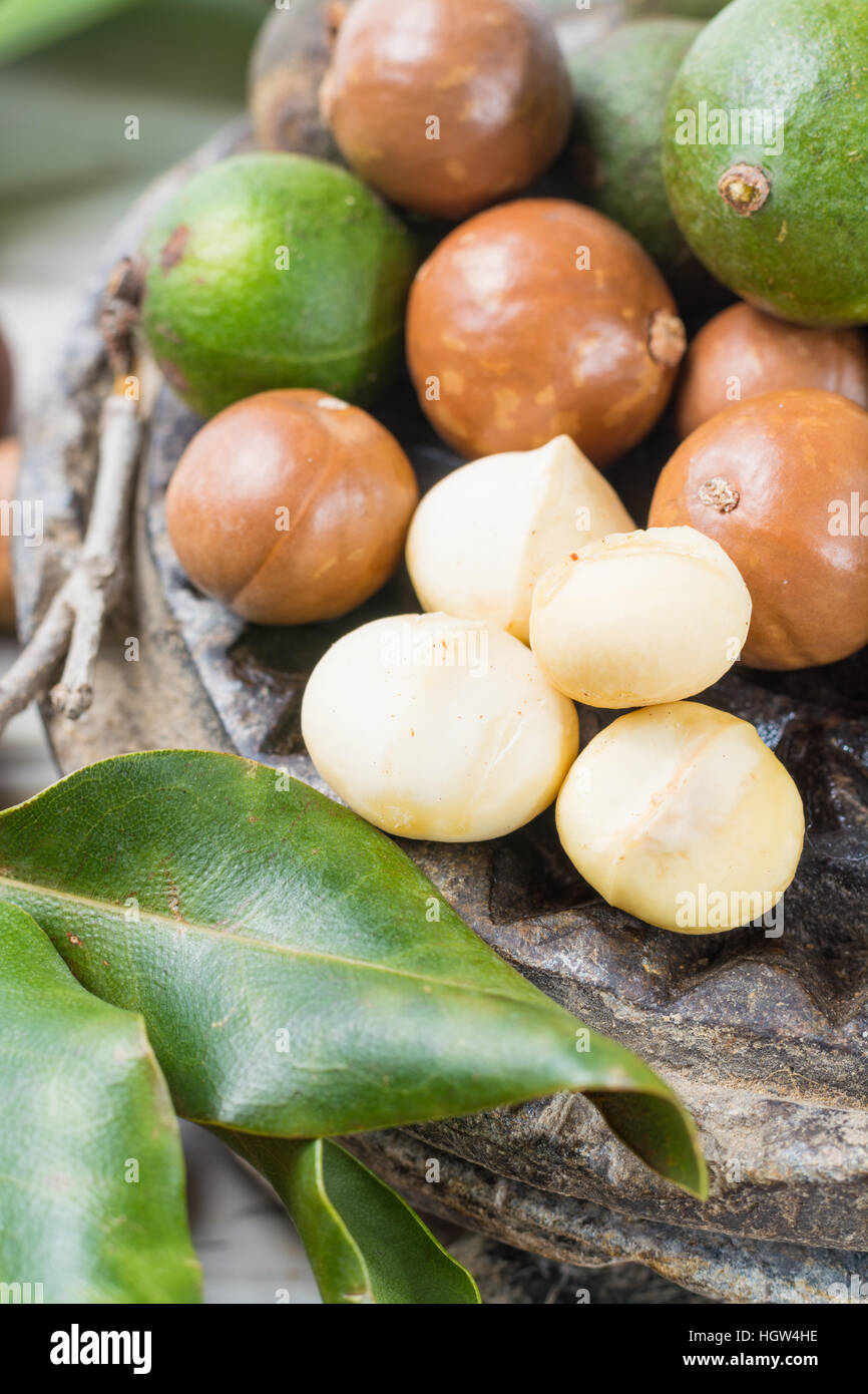 Macadamia nuts harvest close up Stock Photo Alamy