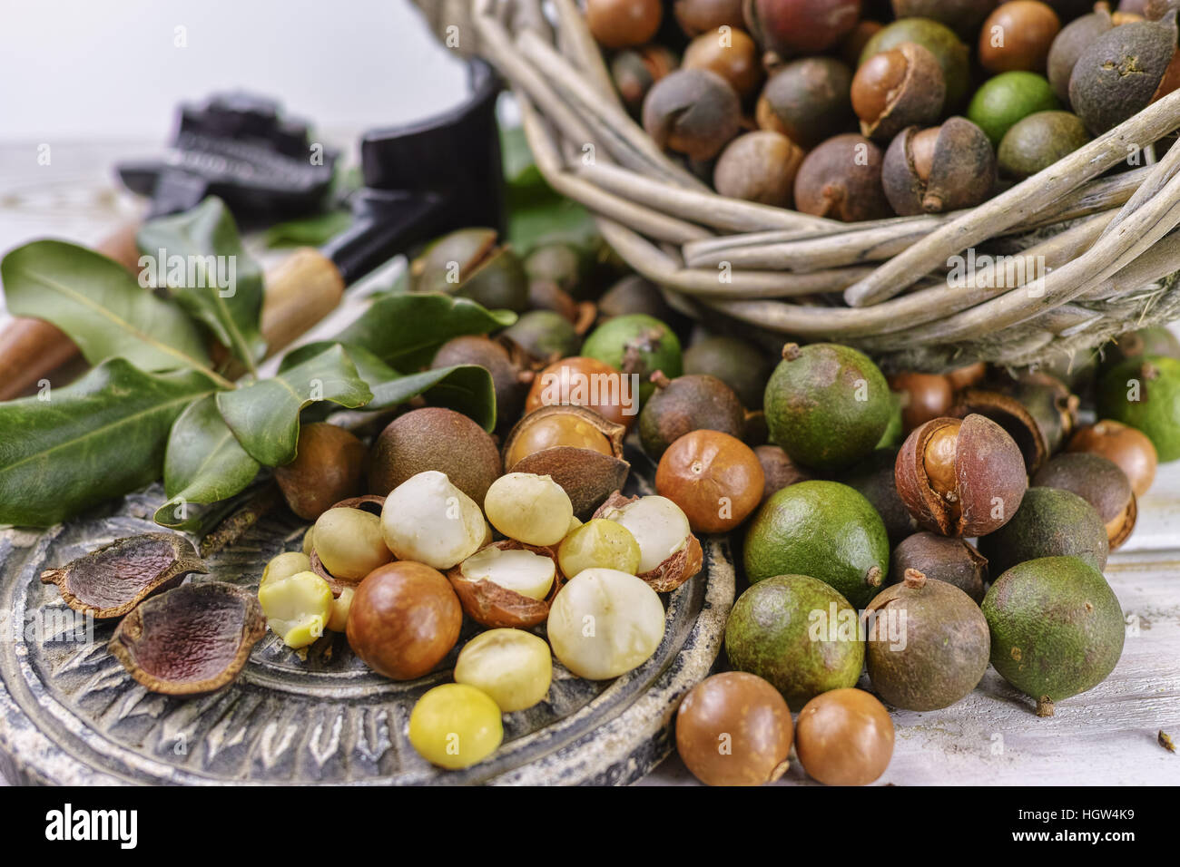Macadamia nuts harvest close up Stock Photo Alamy