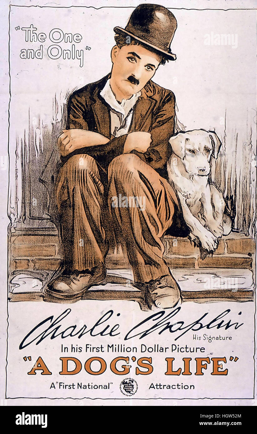 favorito radioactividad Se infla A DOG'S LIFE 1918 First National film with Charlie Chaplin Stock Photo -  Alamy