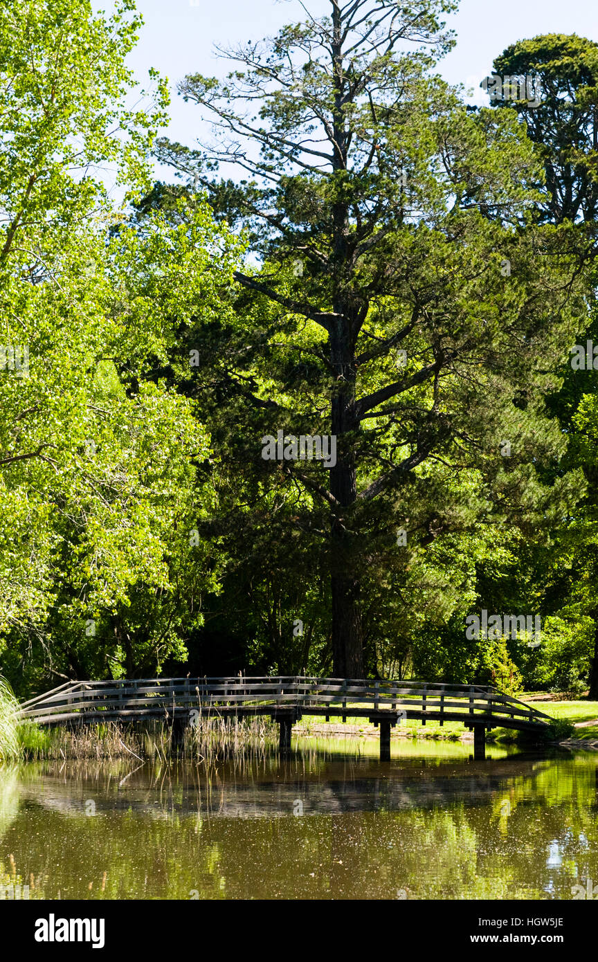 A foot bridge and lush lawns and trees reflected in a pond in an ornamental garden. Stock Photo